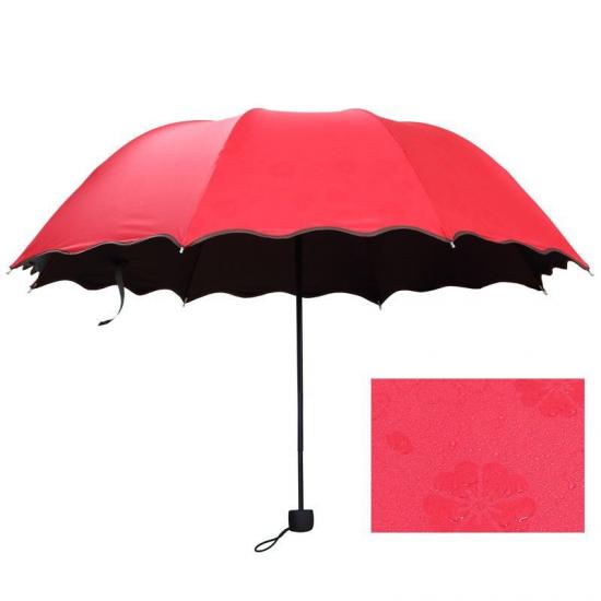 Umbrella That Changes Color When Wet